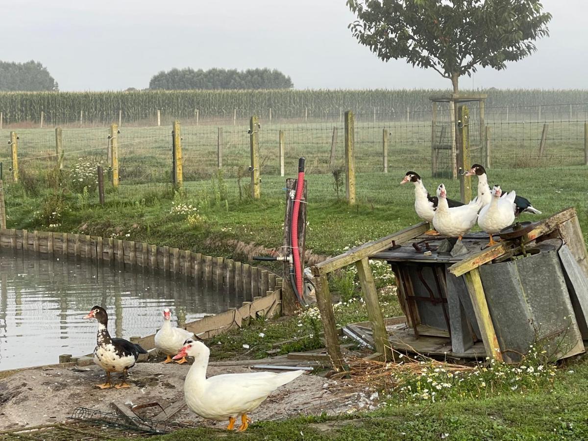 Parel Van Bever - Perle De Bievene Exteriér fotografie